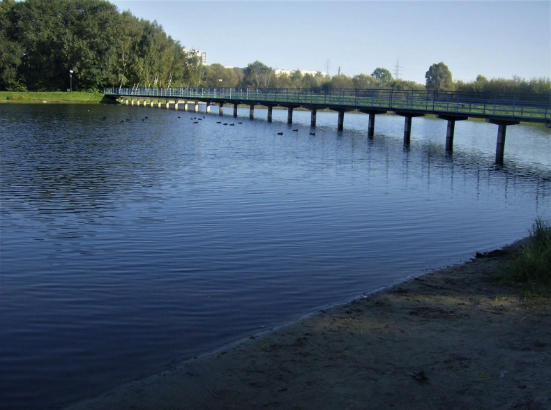 Modernizacja i oczyszczanie zalewu na Borkach za 5,8 mln zł - GospodarkaMorska.pl