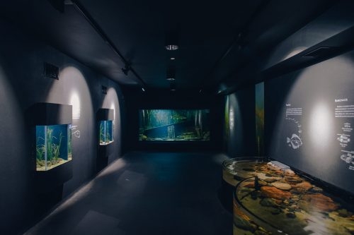 Akwarium Gdyńskie otwarte dla zwiedzających - GospodarkaMorska.pl