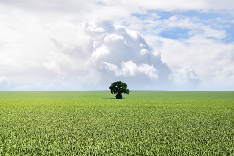 Ekspert: Europejski Zielony Ład był od początku planowany jako strategia wzrostu i inwestycji - GospodarkaMorska.pl