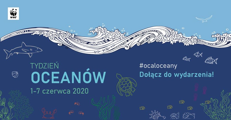8 czerwca obchodzimy Światowy Dzień Oceanów! - GospodarkaMorska.pl