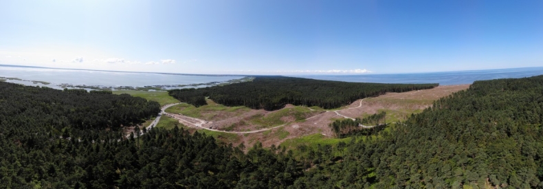 Hołownia: przekop Mierzei Wiślanej to absurd pod każdym względem - GospodarkaMorska.pl