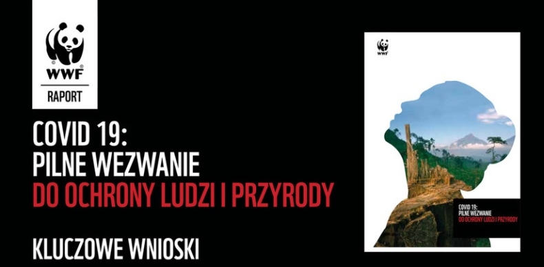 WWF ostrzega: warunki sprzyjają kolejnym pandemiom - GospodarkaMorska.pl