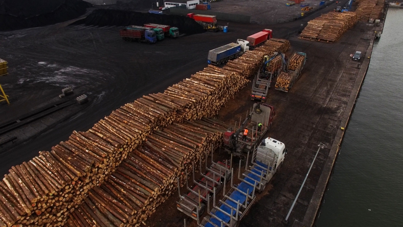 Ponad 170 tys. t drewna przeładowano w Porcie Gdynia od początku roku - GospodarkaMorska.pl
