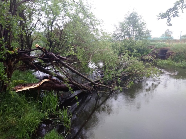 Wody Polskie: Przygotowania na wypadek gwałtownych opadów i wezbrania wód - GospodarkaMorska.pl