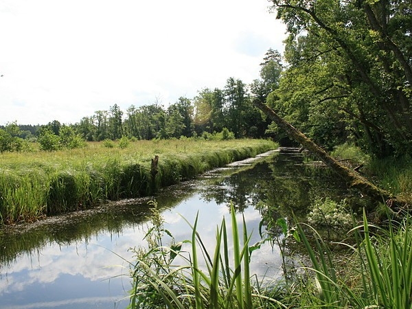 Jest postępowanie administracyjne w sprawie katastrofy ekologicznej w Dolinie Słupi - GospodarkaMorska.pl