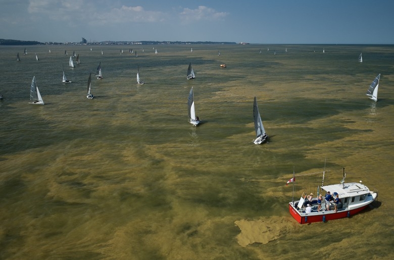 Z powodu sinic nieczynne jedno z kąpielisk w Helu - GospodarkaMorska.pl