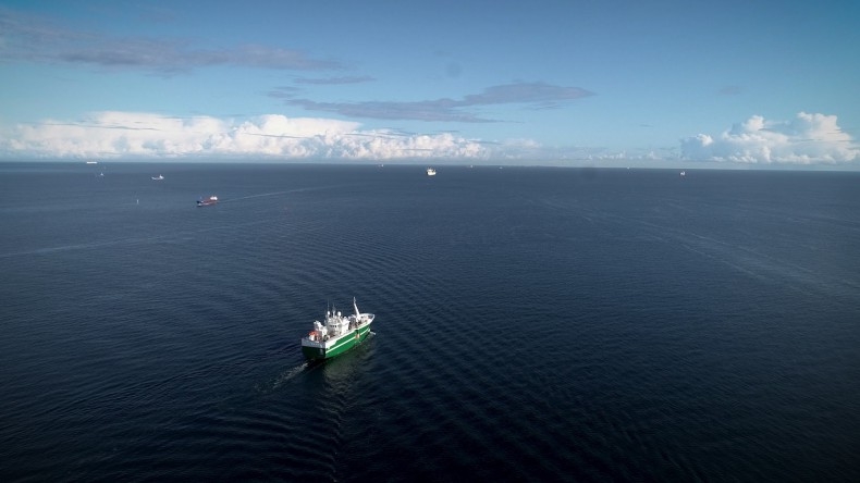 Ekolodzy chłodno przyjęli strategię wodorową KE - GospodarkaMorska.pl