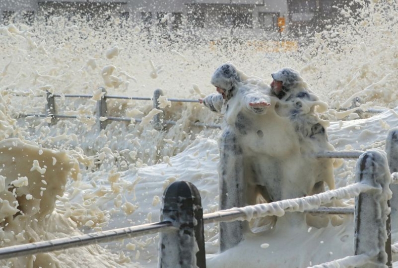 Niecodzienne zjawisko pogodowe w Kapsztadzie. Piana morska przykryła ulice miasta [wideo] - GospodarkaMorska.pl
