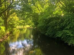 Zrzut wody ze Stawów Milickich ma pomóc w oczyszczeniu Baryczy - GospodarkaMorska.pl