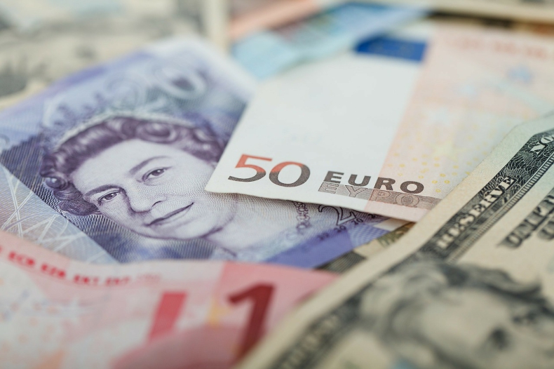 Euro w trakcie kryzysu radzi sobie coraz lepiej - GospodarkaMorska.pl