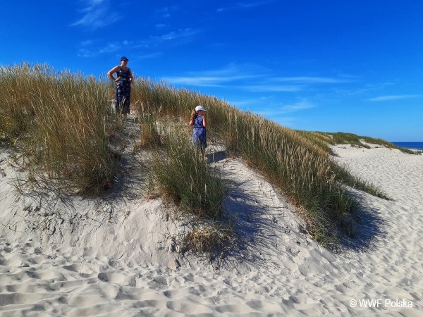 Dlaczego nie wolno chodzić po wydmach? - GospodarkaMorska.pl