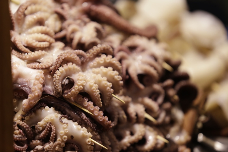 USA liderem zrównoważonych połowów kałamarnicy  - GospodarkaMorska.pl