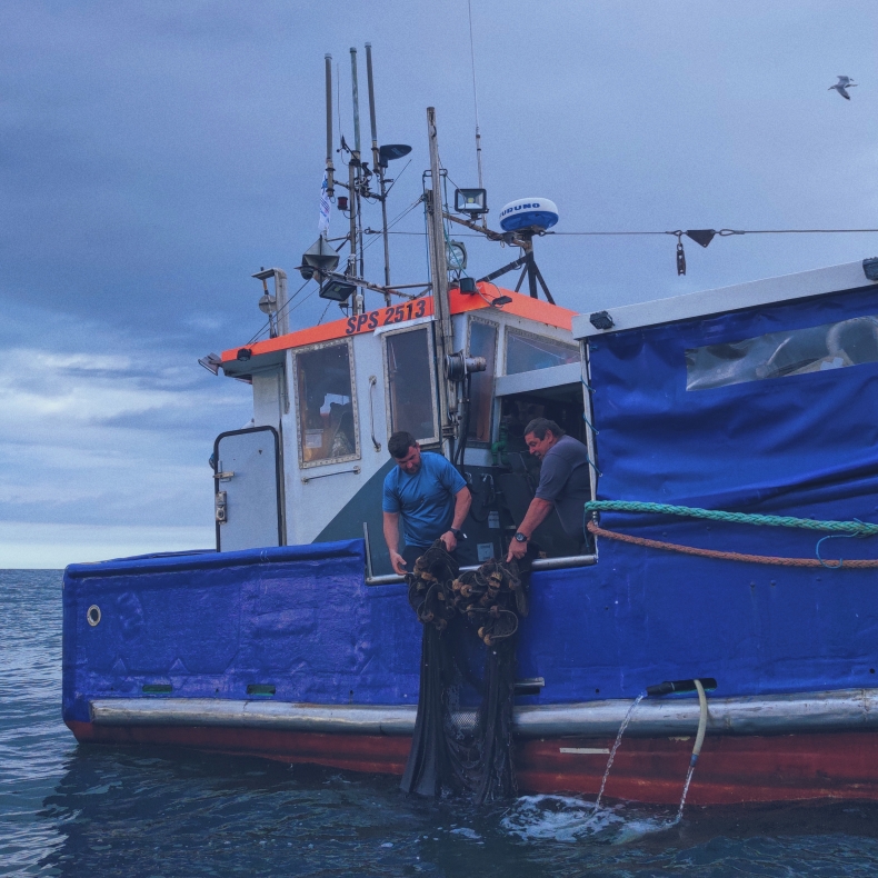 Czysty Bałtyk 2: zakończenie projektu Darłowskiej Grupy Producentów Ryb i Armatorów Rybackich [wideo] - GospodarkaMorska.pl