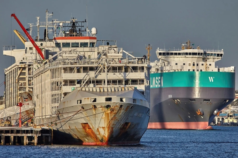 Statek do przewozu żywych zwierząt zaginął w rejonie tajfunu. Na pokładzie 42 osoby i kilka tysięcy sztuk bydła - GospodarkaMorska.pl