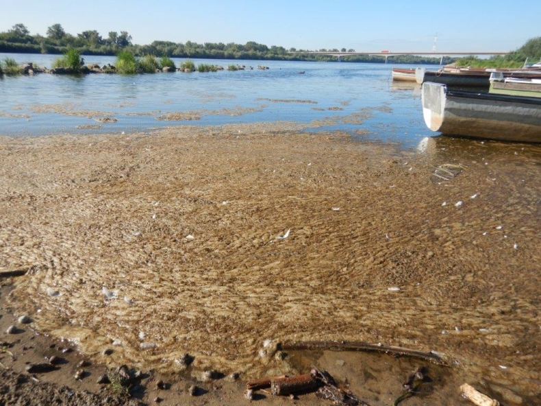 Opinia w sprawie wpływu awarii Czajki na wody ujścia Wisły i Zatoki Gdańskiej - GospodarkaMorska.pl