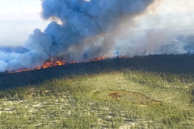 Pożary arktyczne latem 2020 r. ustanowiły nowe rekordy emisji - GospodarkaMorska.pl