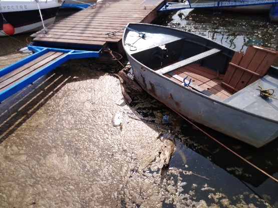Po awarii w Czajce zrzucono do Wisły ponad 1 mln m3 ścieków więcej niż rok temu - GospodarkaMorska.pl