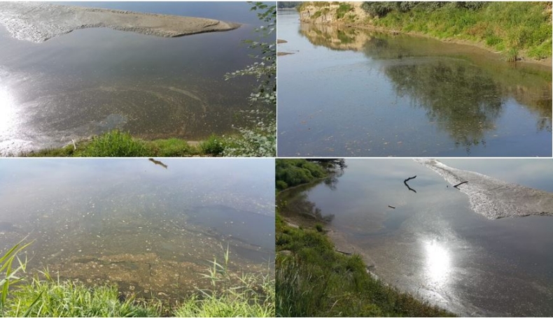 Prezes Wód Polskich zaapelował do organizacji społecznych o monitorowanie Wisły - GospodarkaMorska.pl