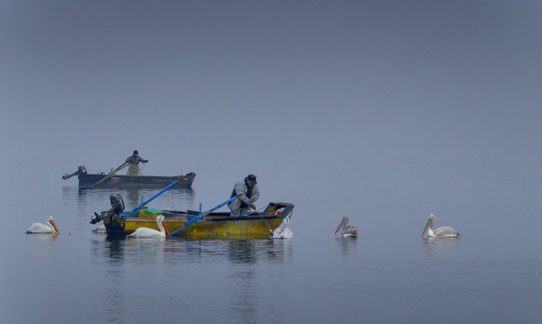 Nielegalne połowy - zagrożenie dla stabilności państw UE - GospodarkaMorska.pl
