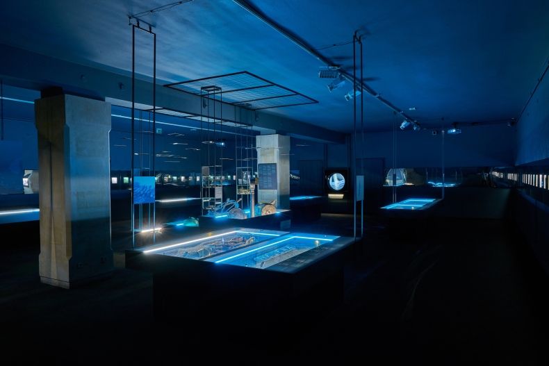 Wystawa czasowa „Do DNA” - sięgamy do skarbca Bałtyku  - GospodarkaMorska.pl