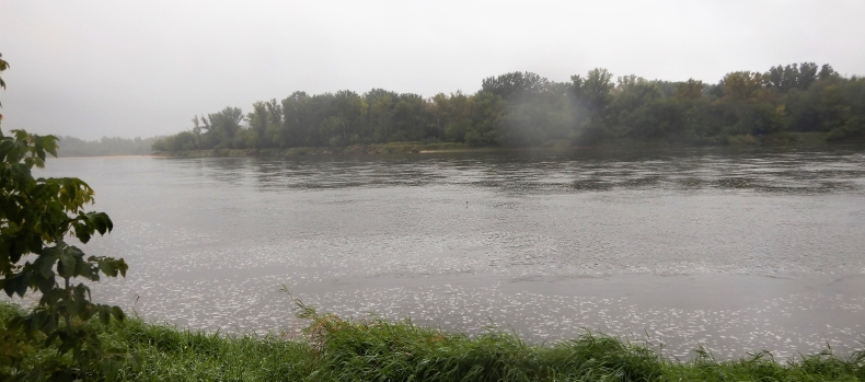 Ścieki przelewają się do Wisły - GospodarkaMorska.pl