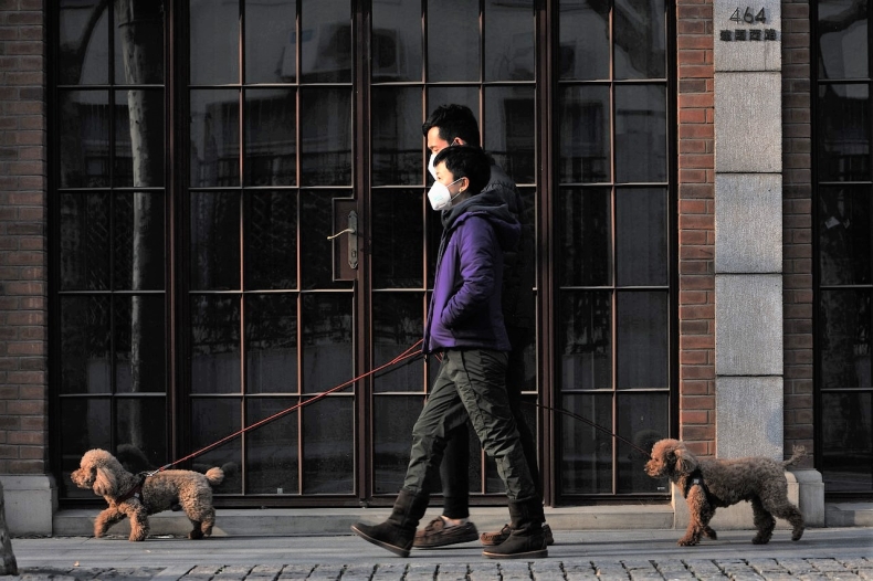 W Irlandii ograniczenia w poruszaniu się po przyjeździe z Polski - GospodarkaMorska.pl