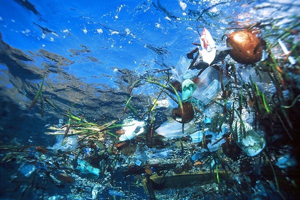Miliony ton mikroplastiku na dnach oceanów - GospodarkaMorska.pl