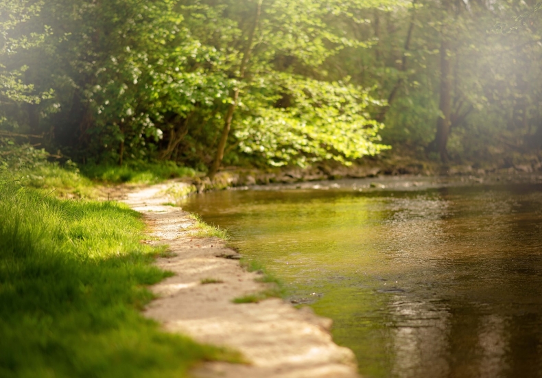 Monokultury zagrażają właściwemu obiegowi wody - GospodarkaMorska.pl
