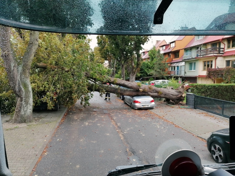 Strażacy z 8.FOW w akcji  [foto] - GospodarkaMorska.pl