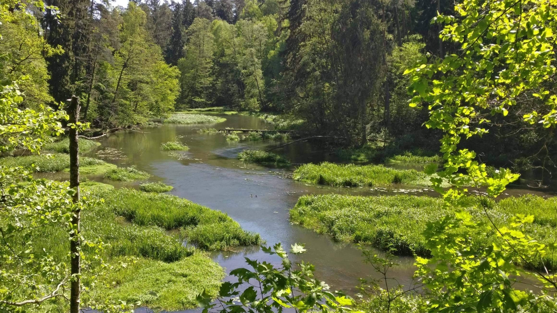 Gospodarka Morska