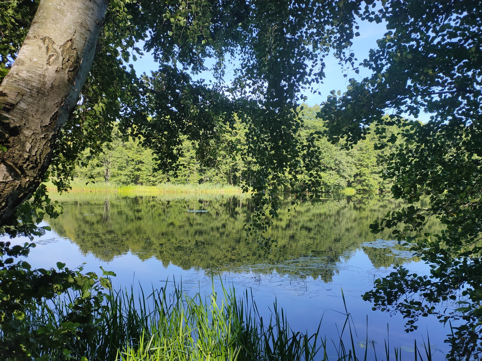 Gospodarka Morska