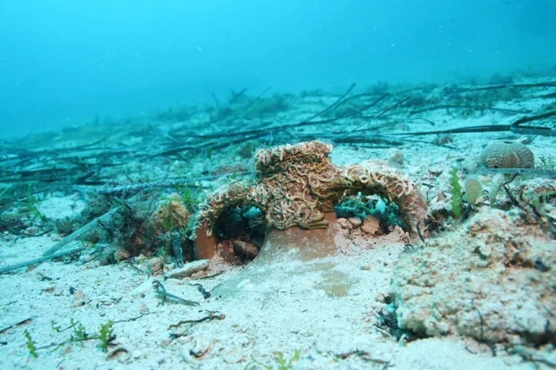 Nienaruszona antyczna ceramika w wodach Adriatyku - GospodarkaMorska.pl