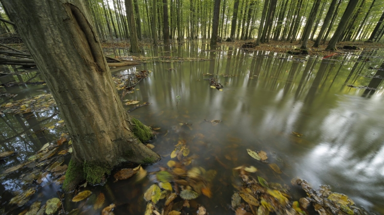 Ochrona przeciwpowodziowa i ochrona przyrody – to połączenie jest możliwe! - GospodarkaMorska.pl