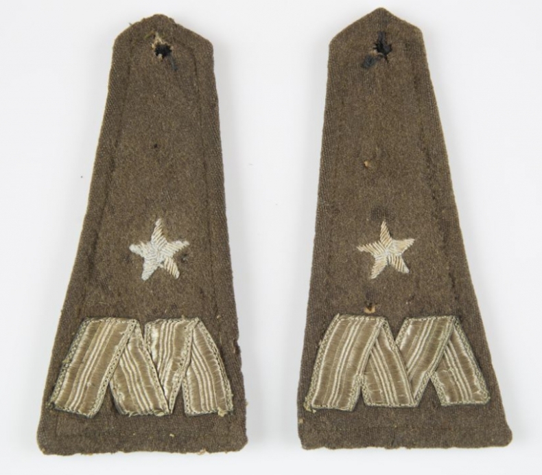 Mariusz Zaruski w walce o niepodległość - GospodarkaMorska.pl