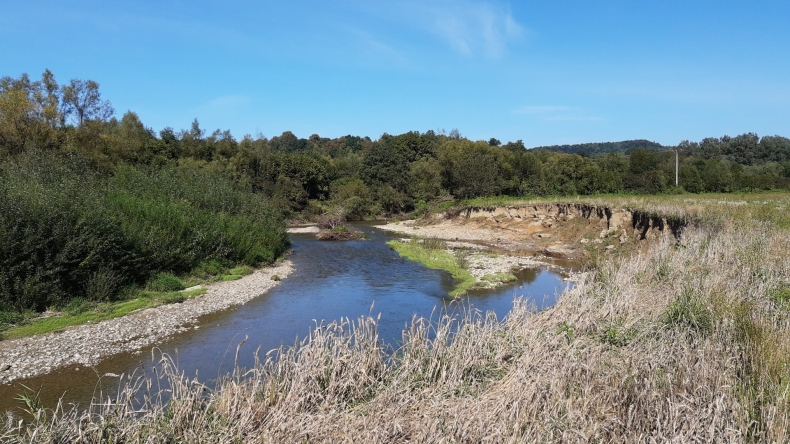 WWF: Wody Polskie nielegalnie niszczą rzeki - GospodarkaMorska.pl