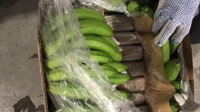 Prawie pół tony kokainy w kontenerze z bananami - GospodarkaMorska.pl