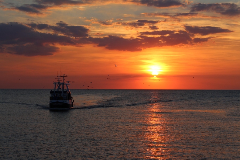 Premiera dwóch filmów Gdyńskiej Szkoły Filmowej z okazji 100. rocznicy zaślubin Polski z Bałtykiem - GospodarkaMorska.pl