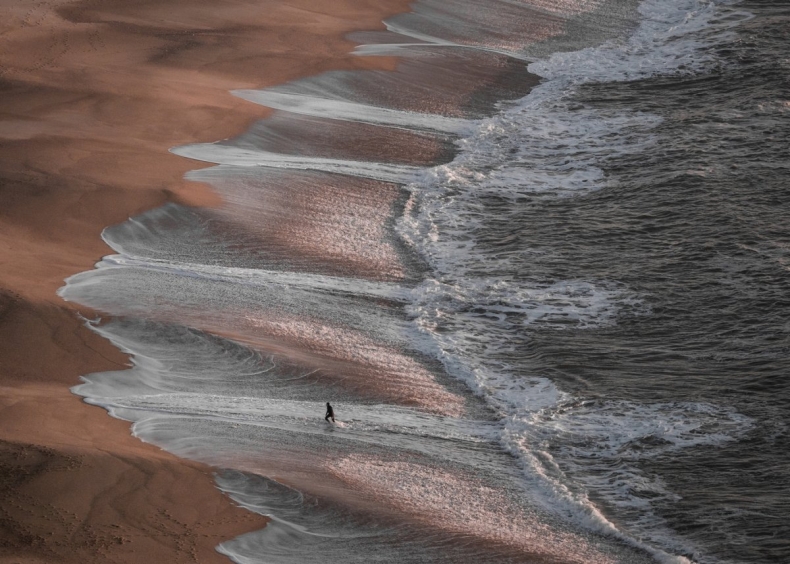 Gdynianka z fotograficznym Grand Prix  - GospodarkaMorska.pl