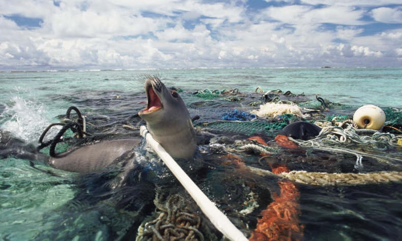 Badanie: Jaki rodzaj odpadów w oceanach jest najbardziej niebezpieczny? - GospodarkaMorska.pl