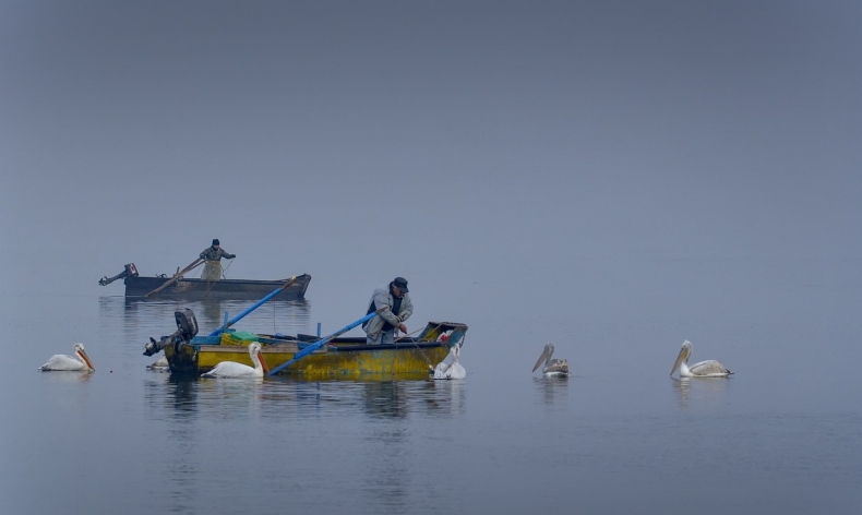 UE nie może być bezczynna wobec rybołówstwa - GospodarkaMorska.pl