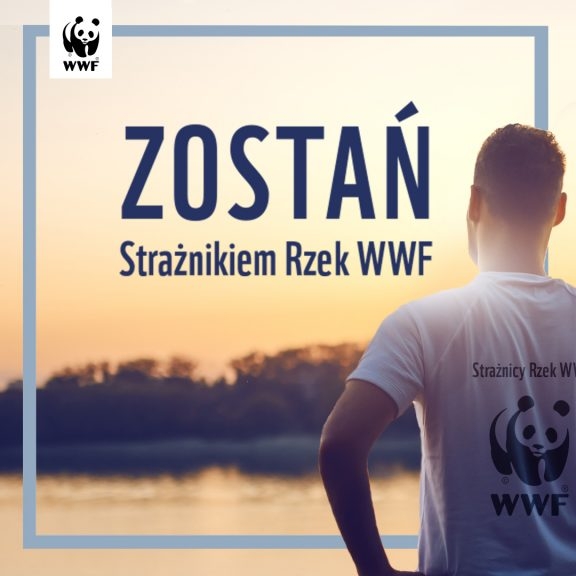 Zostań wolontariuszem w programie Strażnicy Rzek WWF i lokalizuj bariery na rzekach! - GospodarkaMorska.pl