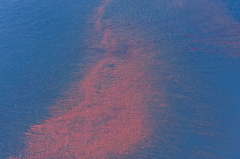 PKN Orlen: zdarzenie na terminalu w Butyndze w pełni zneutralizowane - GospodarkaMorska.pl