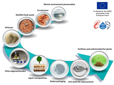 Ekologiczne opakowania ze skorup owoców morza - GospodarkaMorska.pl