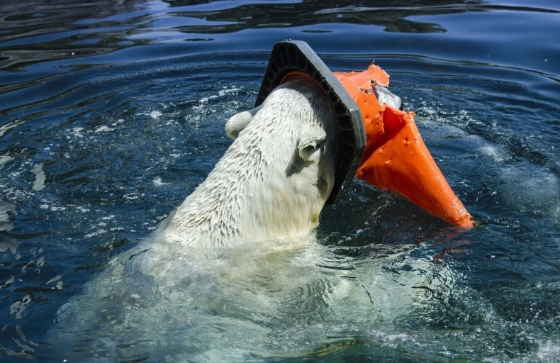 Plastik unosi się nad oceanami - GospodarkaMorska.pl