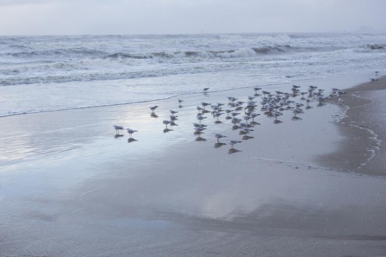 Związek Miast i Gmin Morskich apeluje o pomoc rządu w związku ze stratami branży turystycznej - GospodarkaMorska.pl