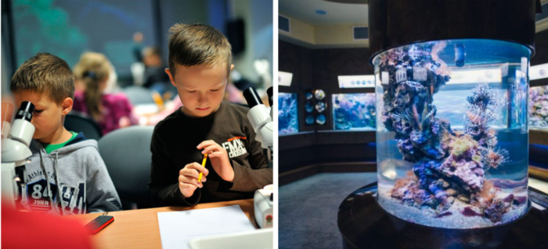 Wiek polskich badań morza - GospodarkaMorska.pl