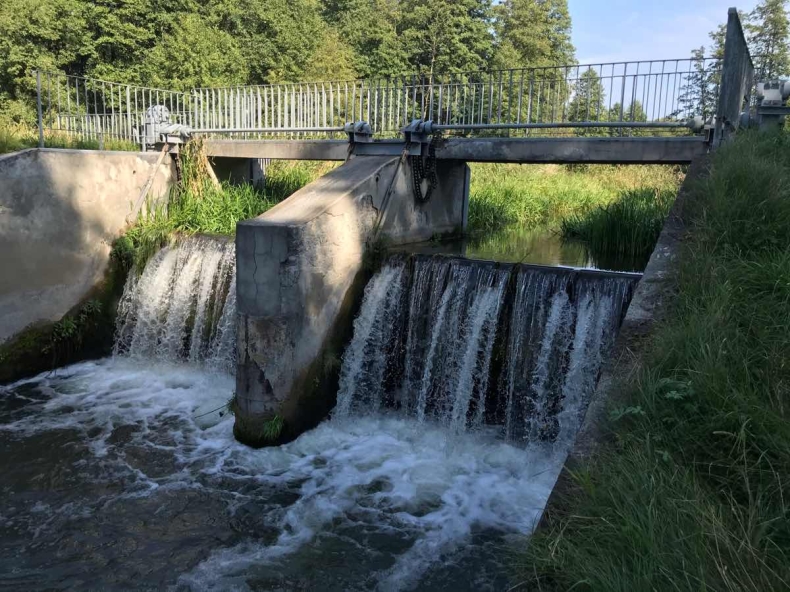 Zator żył na własne życzenie, czyli jak przegradzamy nasze rzeki - GospodarkaMorska.pl