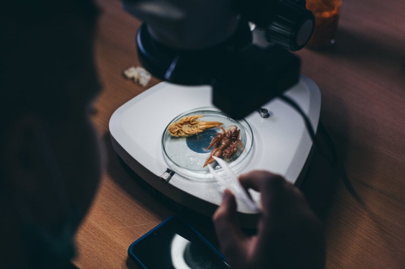 Edukacja online z Akwarium Gdyńskim  - GospodarkaMorska.pl