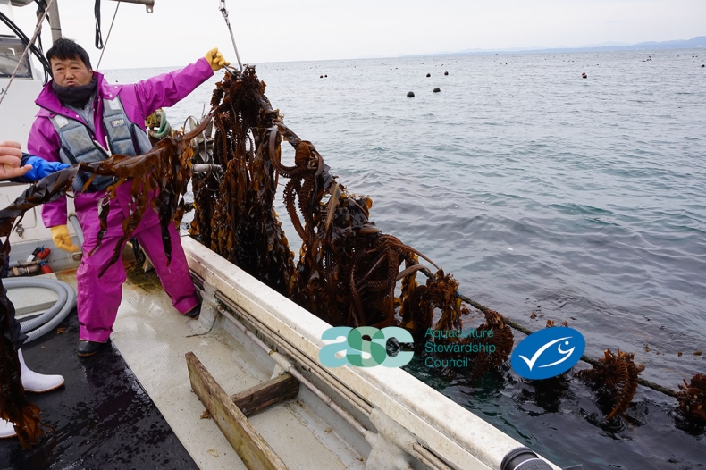  Veramaris pierwszym producentem oleju z mikroalg z certyfikatem ASC-MSC  - GospodarkaMorska.pl