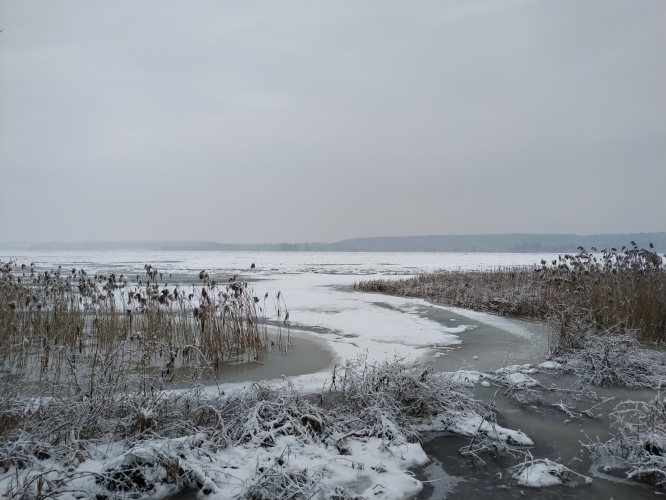 Prezydent Płocka apeluje o regularne pogłębianie Wisły - GospodarkaMorska.pl